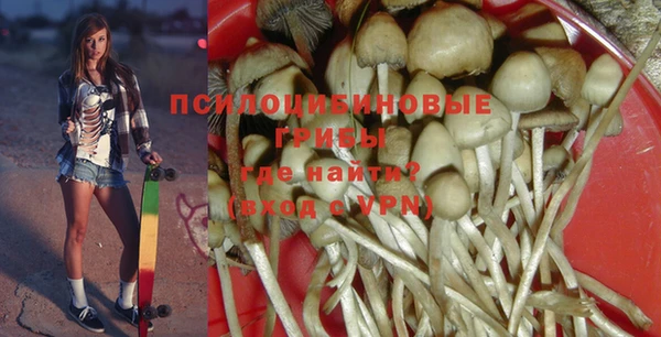 стафф Армянск