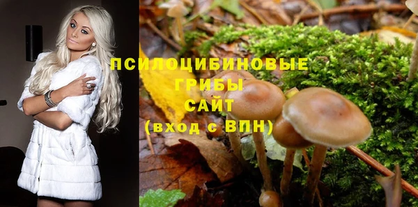 стафф Армянск