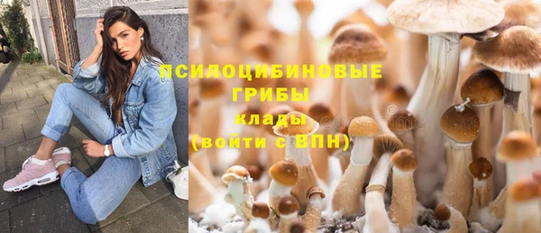 mix Арсеньев