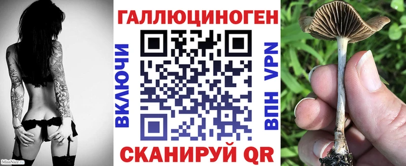 даркнет сайт  Протвино  Псилоцибиновые грибы Magic Shrooms 